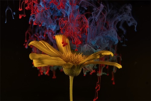 不要相信任何人句子 不要相信任何人的话句子