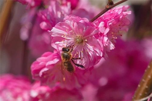 暖心的晚安句子简短 暖心晚安句子简短