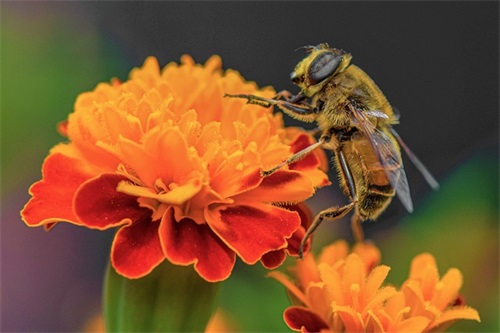 恭喜升职的祝福语 升职的祝福语