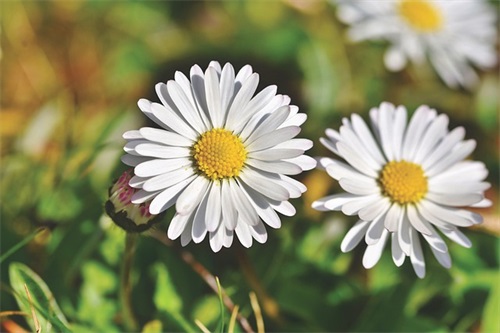 开导一个压力大的男人的句子(开导一个压力大的女人暖心话)