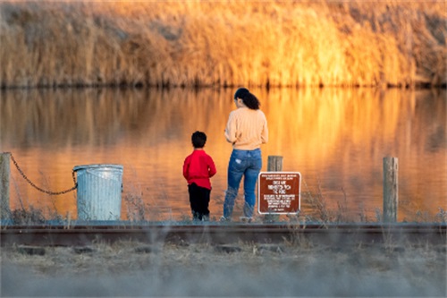 日精进正能量的句子工作 关于正能量的句子