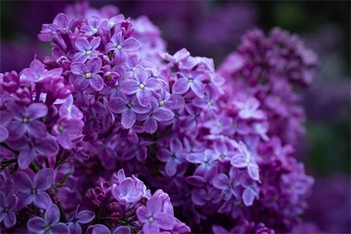 适合爸爸生日发的朋友圈 爸爸生日祝福语