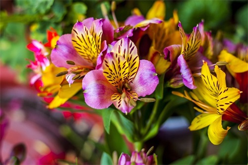 阳光小清新简短句子