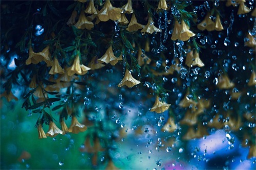 生日快乐的朋友圈祝福语