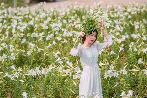 羊年开年祝福语85句