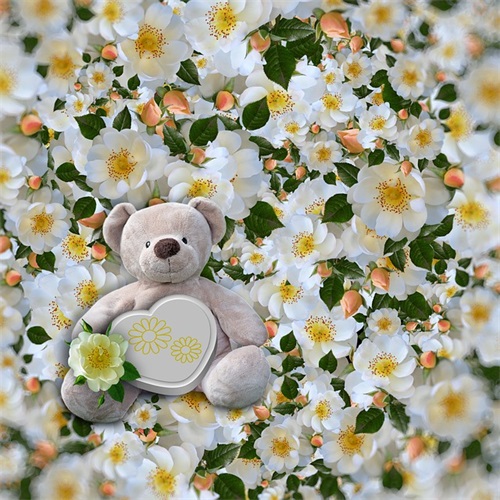 怀揣希望去努力静待美好的出现 最新人生感悟句子语录