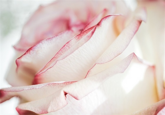 靠谁不如靠自己的说说 凡事靠自己的经典语录