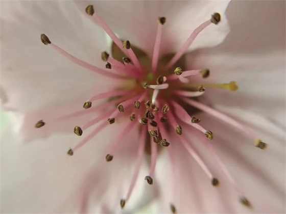 失恋的爱情语录触碰内心弱点 献给为爱挣扎的人