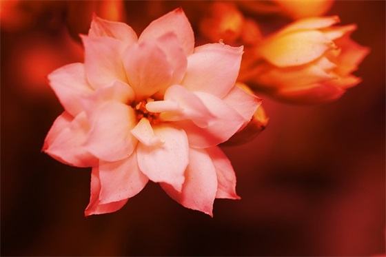 有关于成长的语录伤感句子