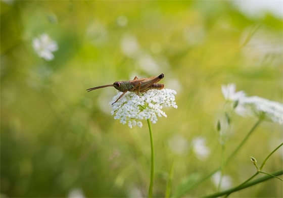 给创业的路上的励志寄语 创业路上励志语录