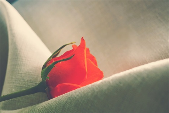 公司经典语录86句