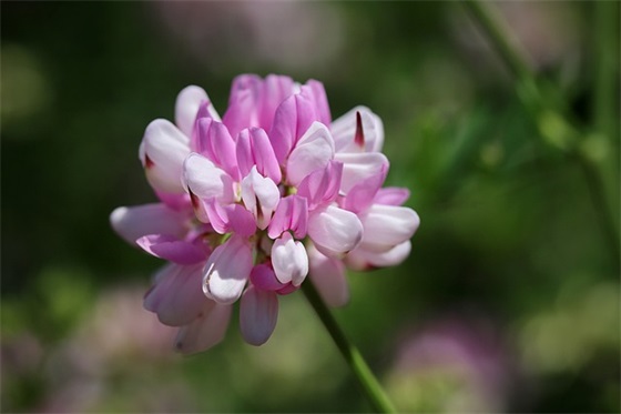 庄子经典语录99句