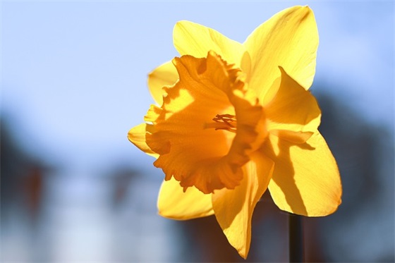 关于爱情的社会语录