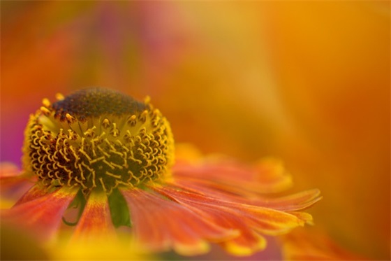 单身狗语录经典句子86句