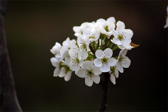 高三新学期开学励志加油语录2026年大全