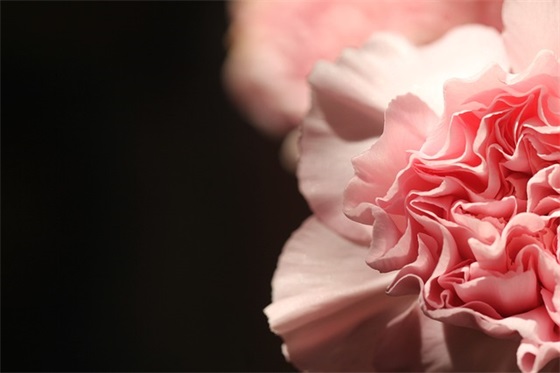 朋友间的情感语录 朋友情感语录