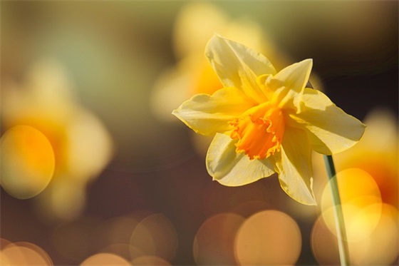 搞笑的话反鸡汤语录(很贱很搞笑的毒鸡汤短句)