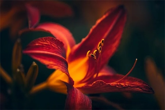 关于孩子的早安语录 给孩子的早安心语正能量