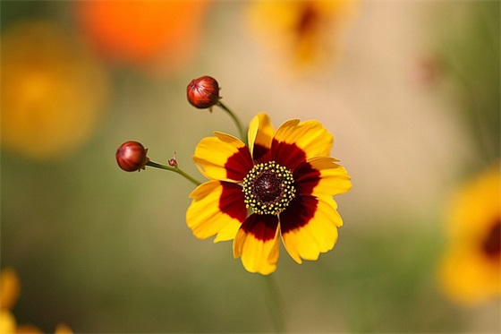 2026最新创业励志正能量语录