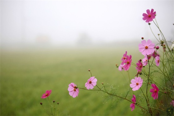 成功心灵鸡汤经典语录(心灵鸡汤经典励志语录)