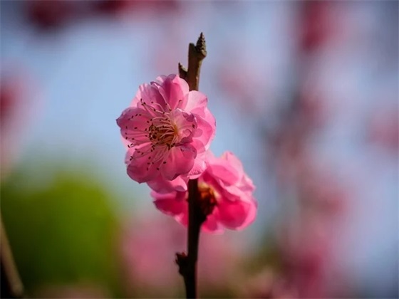 2026年最新愤怒的语录 元旦暖心短句