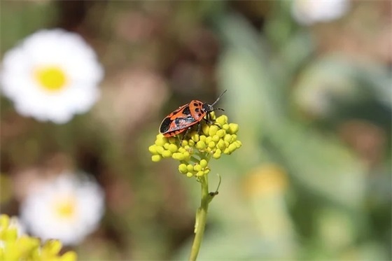 超级温柔的文案 温柔到爆的神仙语录
