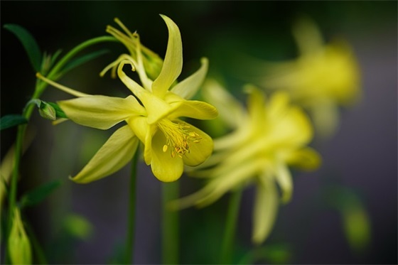 2026年高三学生开学励志拼搏语录