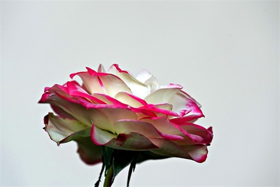 牛比qq个性签名 很霸气的经典语录