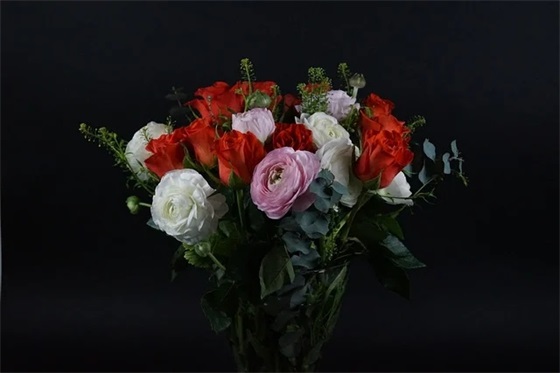 工作心灵鸡汤经典语录77句