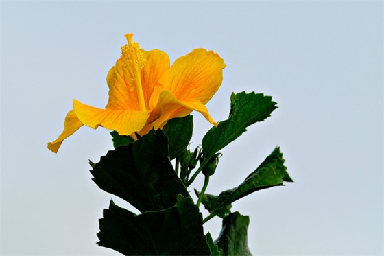 正能量语录集阳光的话 致拼搏路上的自己的经典语句