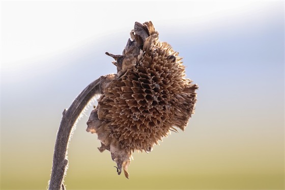 激励中考考生把握机会的励志语录