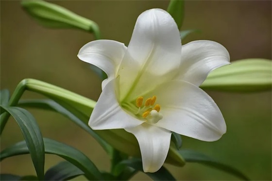 简洁的美好的晚安心语语录