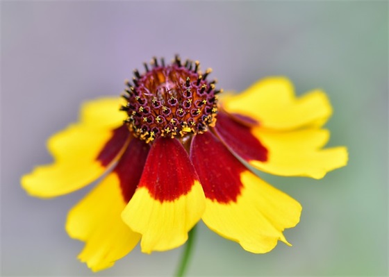 每日记录的名人语录