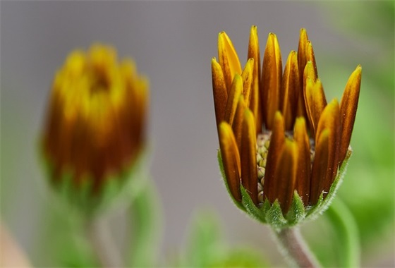 网络精辟句子语录