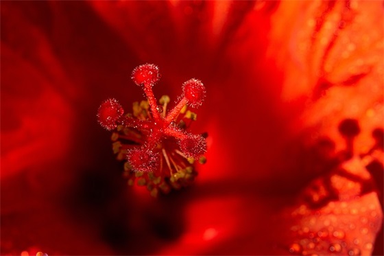 情感文字的语录