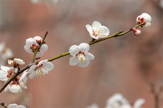 励志签名经典语录