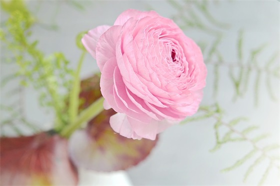 人和团队的经典语录60句