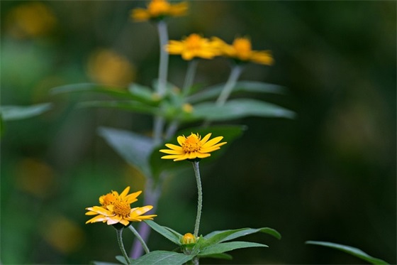 感人至深爱情的语录