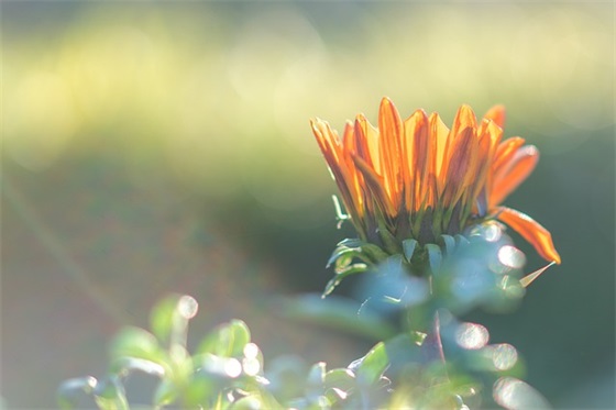 值得回味一生的经典语录