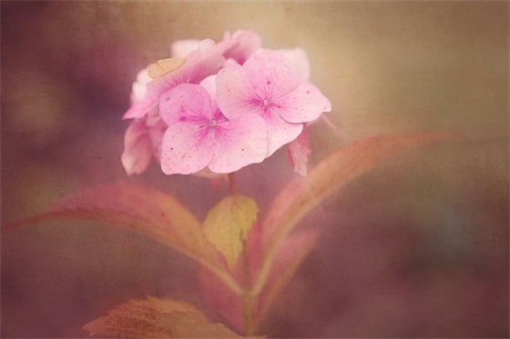 经典搞笑句子超爆笑 搞笑励志语录