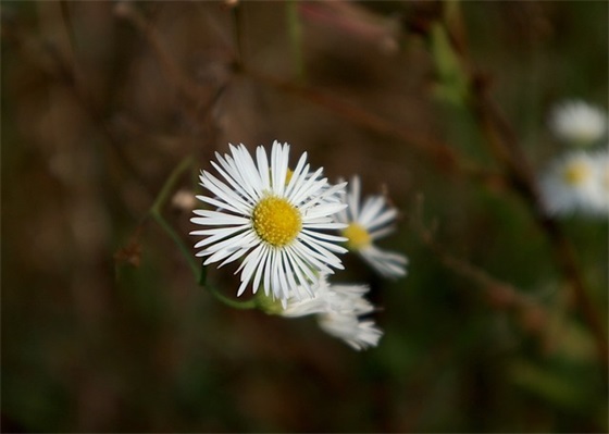 形容特别浮躁的心情语录
