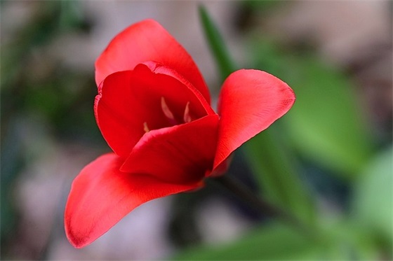 心灵鸡汤感情语录