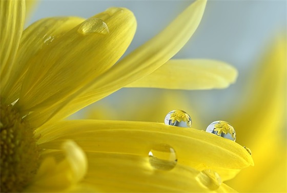 小清新伤感语录