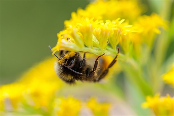 简短唯美爱情语录