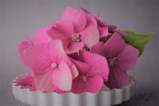 有付出就有收获的经典语录精选