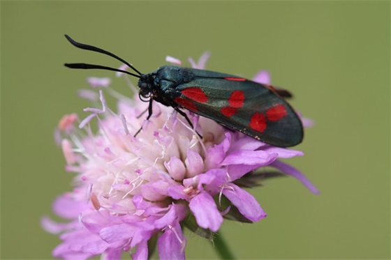 最近抖音很火的励志语录
