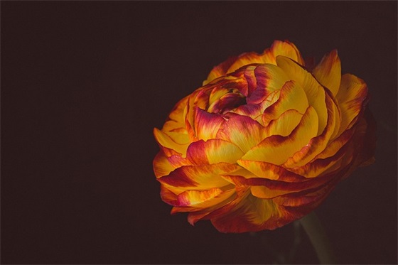 最新经典个性潮说说语录