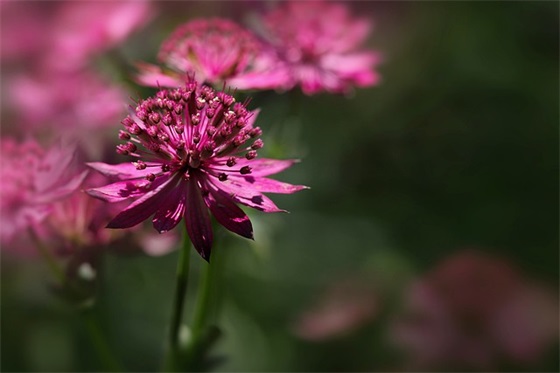 2026霸气中考励志语录格言 中考励志标语横幅