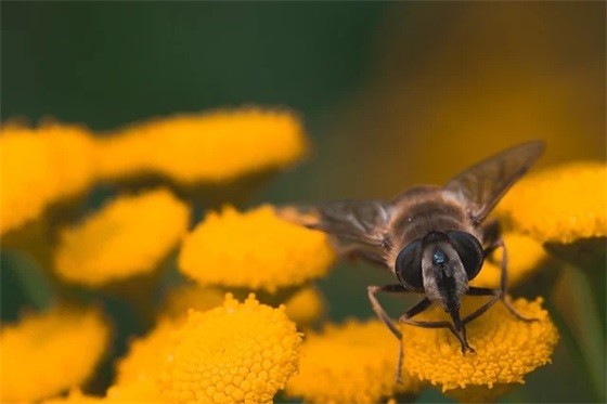 对女生的生日祝福语简短独特 【对女生的生日祝福语大全】