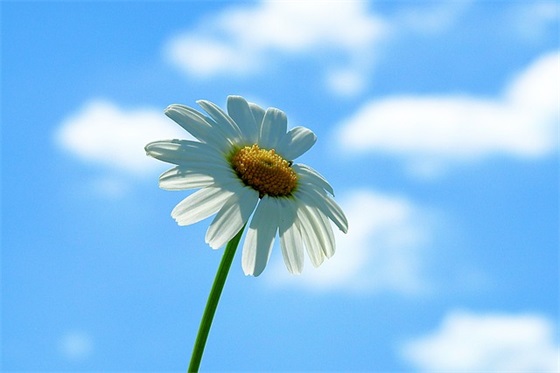 对女生的生日祝福语简短独特 【对女生的生日祝福语大全】